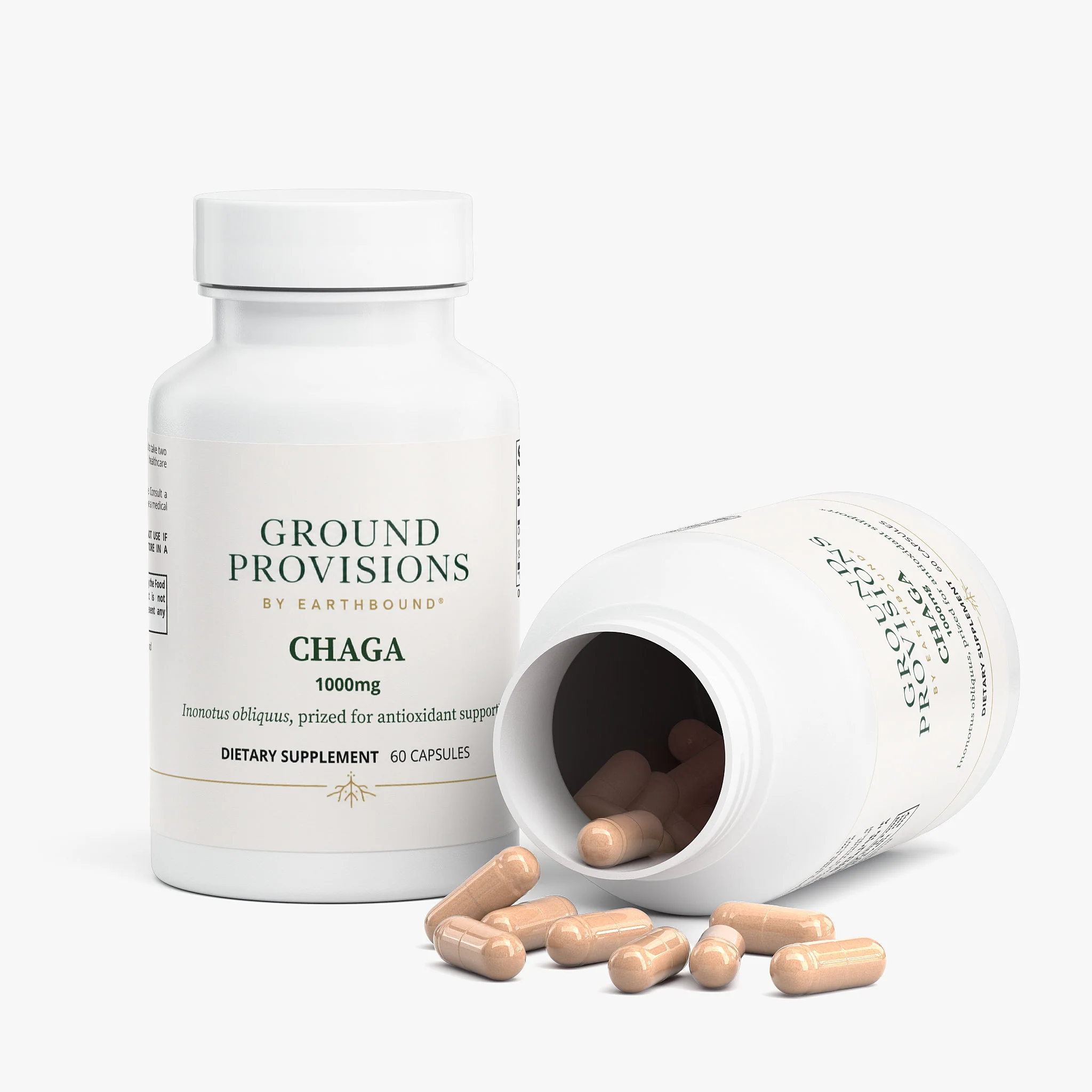 Chaga Mushroom (Capsules) - Image 3
