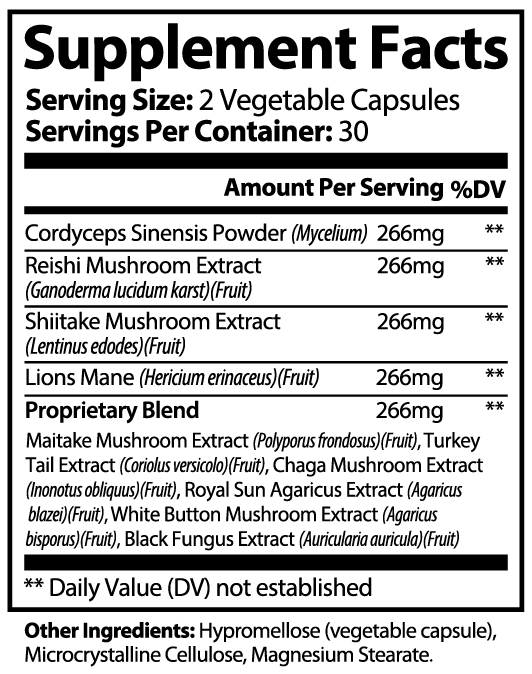 Mushroom Complex — 10 Functional Mushrooms - Image 6